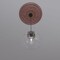 Ekena Millwork Baltimore PVC Medallion (Canopies up to 7 3/4"), 22"OD x 3 1/2"ID x 1"P, Metallic Champagne Pink CMP22BAFCP - alternate 10